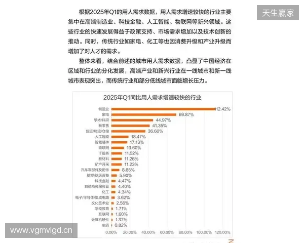 2025年12月虚拟局域网游戏联机方案综合评估报告 2025年12月虚拟局域网游戏联机方案综合评估报告