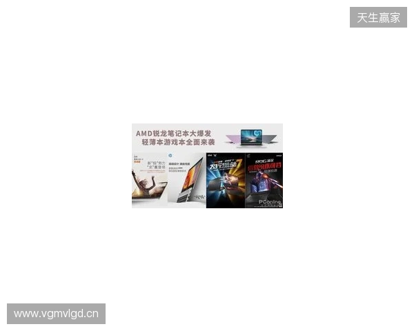 锐龙9高端游戏本达成百万销量 京东“超级供应链”成AMD 增长强引擎 锐龙9高端游戏本达成百万销量 京东“超级供应链”成AMD 增长强引擎